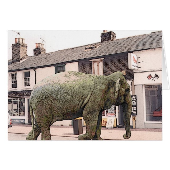 elefan ze (正面横)