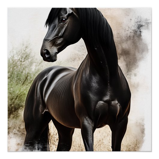 Élégance Ébène ポスター (正面)