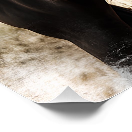 Élégance Ébène ポスター (コーナー)