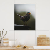 Elegance of the Common Blackbird Fine Art Poster ポスター (キッチン)