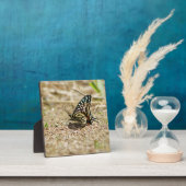 Elegant Asian Swallowtail Butterfly - Detailed Mac フォトプラーク (インサイチュ)