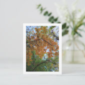 Elegant Autumn Holiday Postcard シーズンポストカード (スタンド正面)