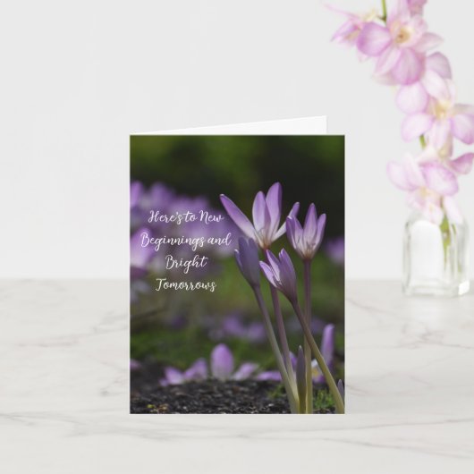 Elegant Beginnings カード (蘭)