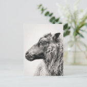 Elegant Black and White Sheep Profile Postcard ポストカード (スタンド正面)
