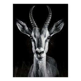 Elegant Black & White Gazelle Fine Art Photo ポスター