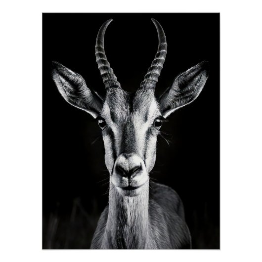 Elegant Black & White Gazelle Fine Art Photo ポスター (正面)