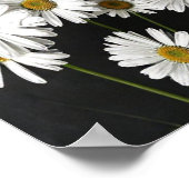 Elegant Botanical Still Life of Radiant White Oxey ポスター (角)