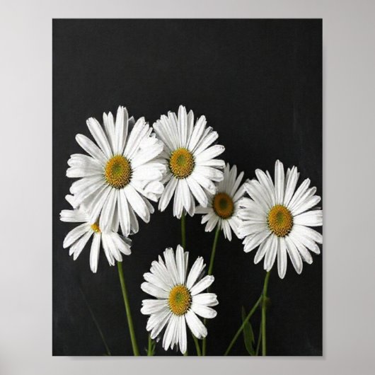 Elegant Botanical Still Life of Radiant White Oxey ポスター (正面)