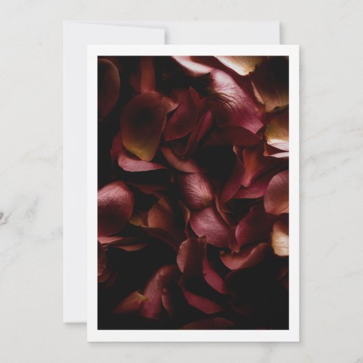 Elegant Burgundy Romantic Rose Save The Date Card (裏面)
