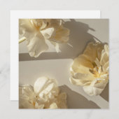 Elegant Cream Tulips in warm light,  サンキューカード (正面/裏面)