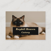 Elegant Custom Ragdoll Cat Cattery Business Card  名刺 (正面)
