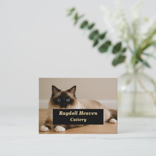 Elegant Custom Ragdoll Cat Cattery Business Card 名刺 (スタンド正面)
