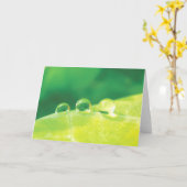 Elegant, Dew Drops, Stories in Nature Poetry カード (黄色い花)