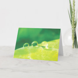 Elegant, Dew Drops, Stories in Nature Poetry カード