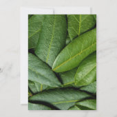 Elegant Eucalyptus Greenery and Gold Accents 招待状 (裏面)