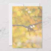 Elegant Fabulous 50Modern Photo Birthday Party  招待状 (裏面)