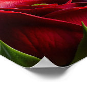 Elegant Gothic Wedding Rose Frame  ポスター (角)