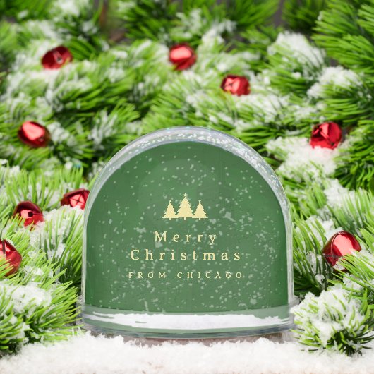 Elegant Green Gold Photo Snow Globe (クリスマス)