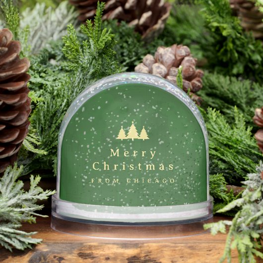 Elegant Green Gold Photo Snow Globe (冬)