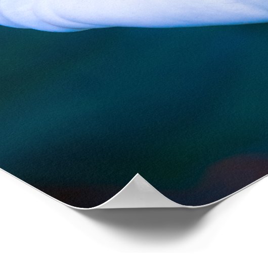 Elegant Heart-Shaped White Calla Lily ポスター (角)