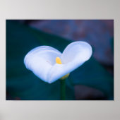 Elegant Heart-Shaped White Calla Lily ポスター (正面)