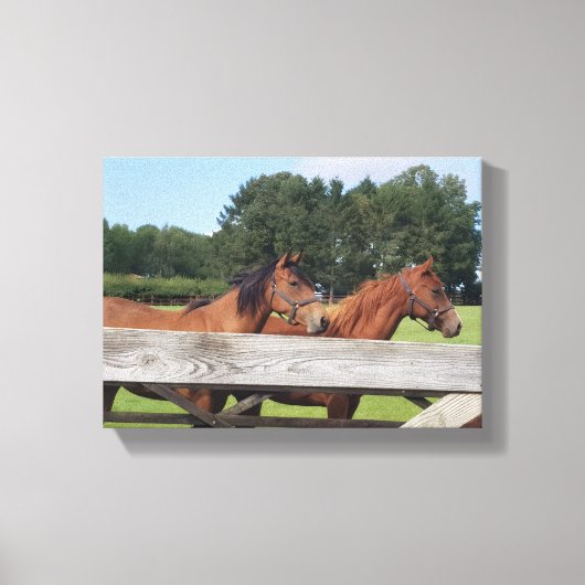 Elegant Horses in Nature キャンバスプリント (正面)