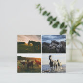 ELEGANT HORSES POSTCARD ポストカード (スタンド正面)