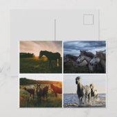 ELEGANT HORSES POSTCARD ポストカード (正面/裏面)