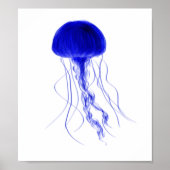 Elegant Jellyfish Poster ポスター (正面)