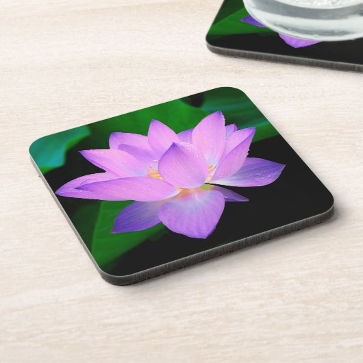 Elegant Lotus Flower コースター (左側)