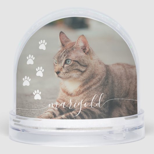 Elegant Loving Memory Cat Pet Name Photo Memorial (裏面)