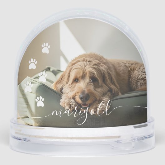 Elegant Loving Memory Dog Pet Name Photo Memorial (裏面)