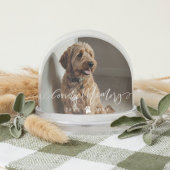Elegant Loving Memory Dog Pet Name Photo Memorial