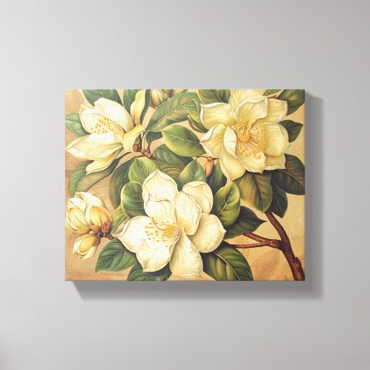 Elegant Magnolia Blossoms Wall Art キャンバスプリント (正面)
