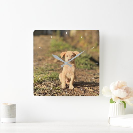 Elegant Modern Custom Wall Clock Add Your Own  スクエア壁時計 (ホーム)