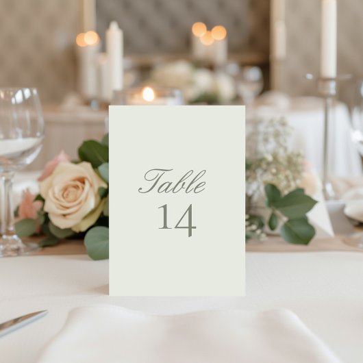 Elegant Modern Wedding Table Number Card 招待状