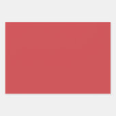 Elegant Pastel Gift Wrapping Paper  ラッピングペーパーシート (正面2)