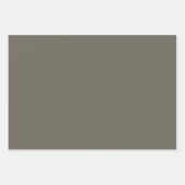 Elegant Pastel Gift Wrapping Paper  ラッピングペーパーシート (正面)