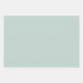 Elegant Pastel Gift Wrapping Paper  ラッピングペーパーシート (正面2)