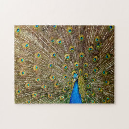 Elegant Peacock Tail Feathers ジグソーパズル