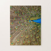 Elegant Peacock Tail Feathers  ジグソーパズル (縦)