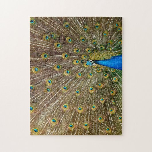 Elegant Peacock Tail Feathers  ジグソーパズル (縦)