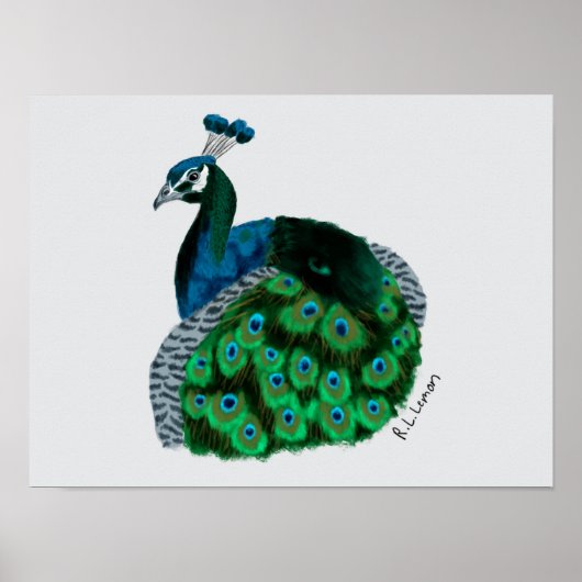Elegant Peafowl Art Poster ポスター (正面)