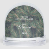 Elegant Pine Border Photo Snow Globe (裏面)