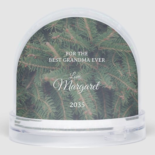Elegant Pine Border Photo Snow Globe (裏面)
