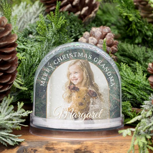 Elegant Pine Border Photo Snow Globe (冬)