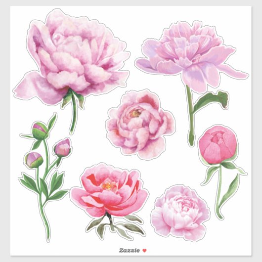 Elegant Pink Peony  シール (シート)