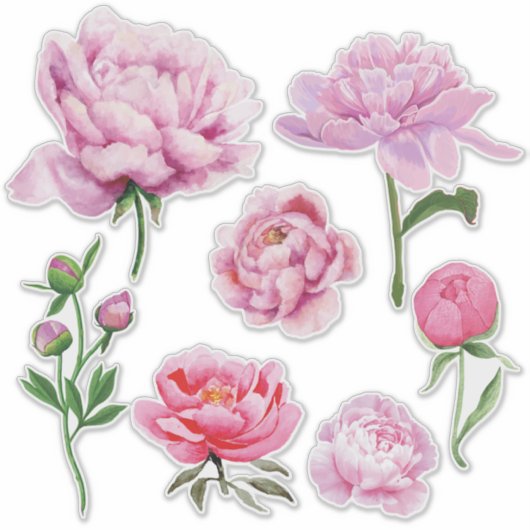 Elegant Pink Peony  シール (正面)