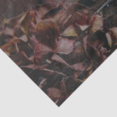 Elegant Pink Rose Flowers Moody Ephemera Decoupage 薄葉紙 (詳細)