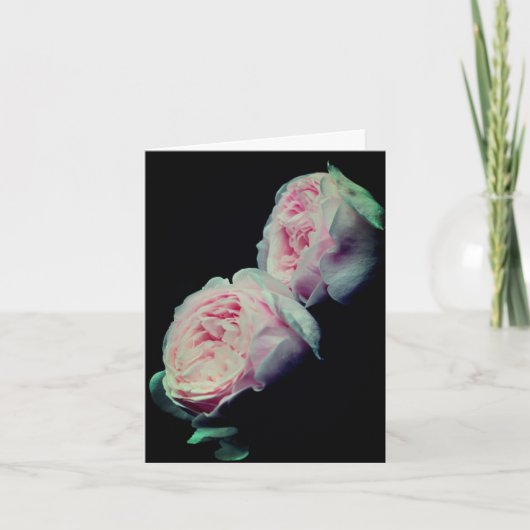 Elegant Pink Roses Flower Photography Note カード (正面)